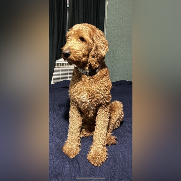 Listing #10 - Picture 1 of 1